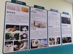 -乖乖宠物医院·猫科·急重症中心(车站北路分院)