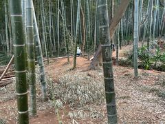 -大蜀山国家森林公园