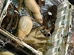 -霞涌市场海鲜摆卖区