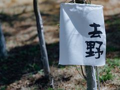 -佛手湖郊野公园