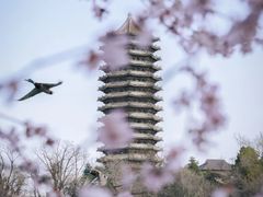 -北京大学-燕南食堂