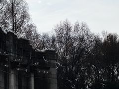-音乐台