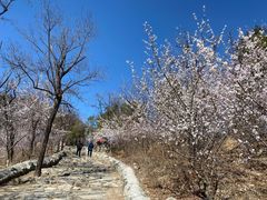-阳台山自然风景区