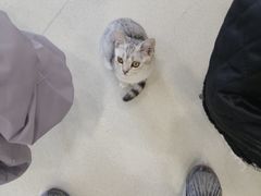 -共舞时光猫咖·狗咖(新街口店)