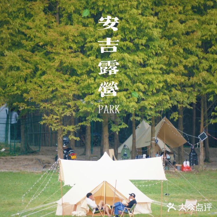 湖州安吉小杭坑营地｜可以带着狗狗🐶去的露营⛺地️