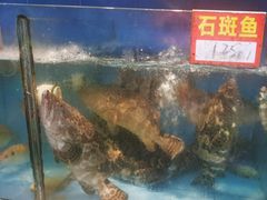 -东江海鲜大排档·潮汕菜·砂锅粥