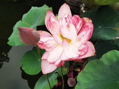 -粥旺庄(芳村店)