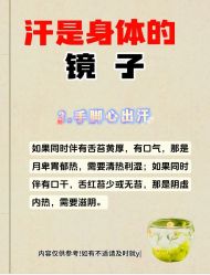 -Fundi张玉珊修身堂·indiba·BTL科技瘦身
