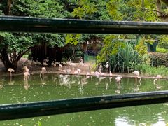 -九龙公园