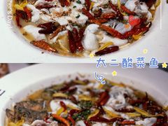 -太二酸菜鱼(石家庄万象城店)