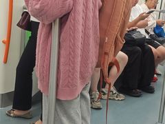 -杨高南路(地铁站)