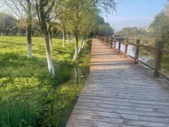 -艾溪湖湿地公园