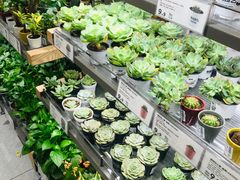 -鹿岛生活(熙地港店)