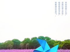 -山明水秀大饭店