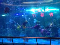 -大明湖海底世界
