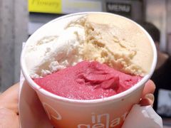 无花果叶-Dip in Gelato(富民路店)