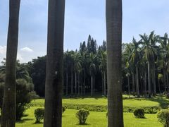 -莲花山公园