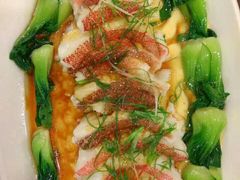 -华兴大酒楼(亿宝大厦店)