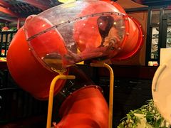 -春满园生态餐厅(南宫路店)