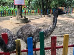 -广东花都香草世界旅游度假区