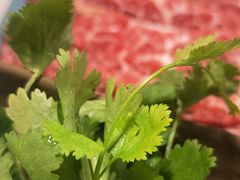 -食潮汕头鲜牛馆(望京保利店)