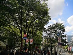 -涩谷区