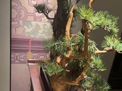 -顺峰(农展馆店)
