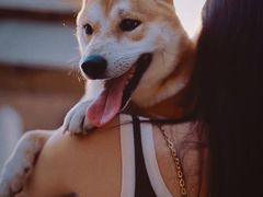 -小意思咖啡店(草桥店)