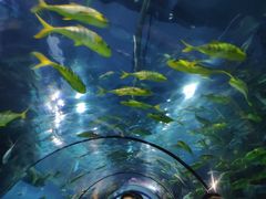 -福州罗源湾海洋世界旅游区