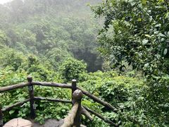 -海口火山口国家地质公园