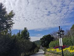 -苏州上方山国家森林公园
