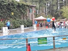 -贵州森林野生动物园
