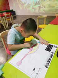 -恐龙探索乐园(磁器口店)