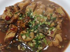 -全乐鱼馆·淳牌有机鱼直营店
