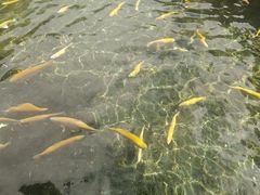 -丽江玉水寨