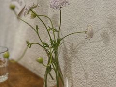 -Ginko银子(青龙街店)