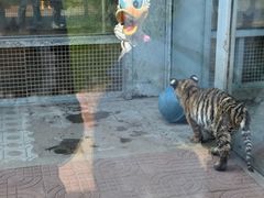 -西霞口神雕山野生动物世界