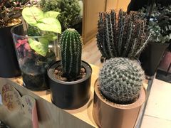 -谷莠子花艺·气球派对·绿植造景·花艺沙龙(金光华广场店)