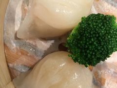 -金苑海鲜酒家(来魅力店)