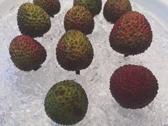 -四季民福烤鸭店(故宫店)