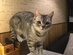 -隅cafe(傅厚岗店)