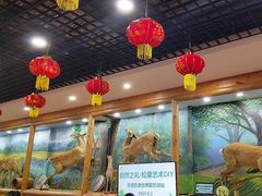 -北京鹿世界主题园