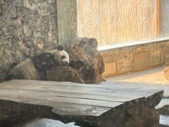 -海南热带野生动植物园