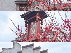 -紫阳古街