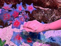 -沈阳海洋探索中心