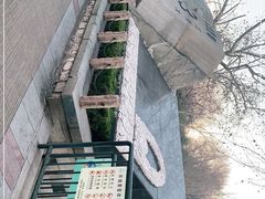 -环城公园