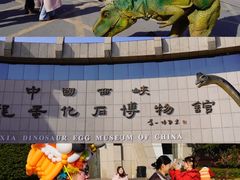-中国西峡恐龙遗迹园