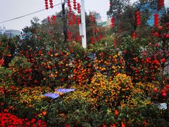 -天河体育中心