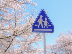 -四川大学(望江校区)