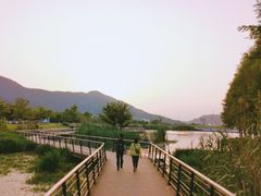 -东钱湖旅游度假区